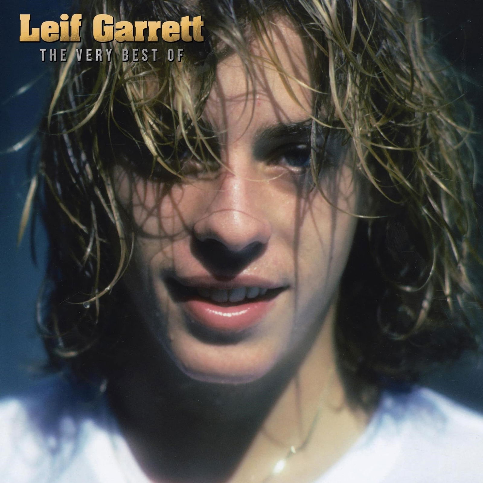 CD Shop - LEIF GARRETT VERY BEST OF