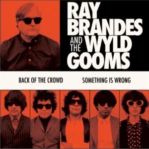 CD Shop - RAY BRANDES,THE WYLD GOOMS 7-RAY BRANDES & TH...
