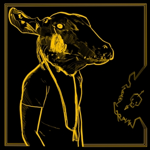 CD Shop - SHAKEY GRAVES ROLL THE BONES