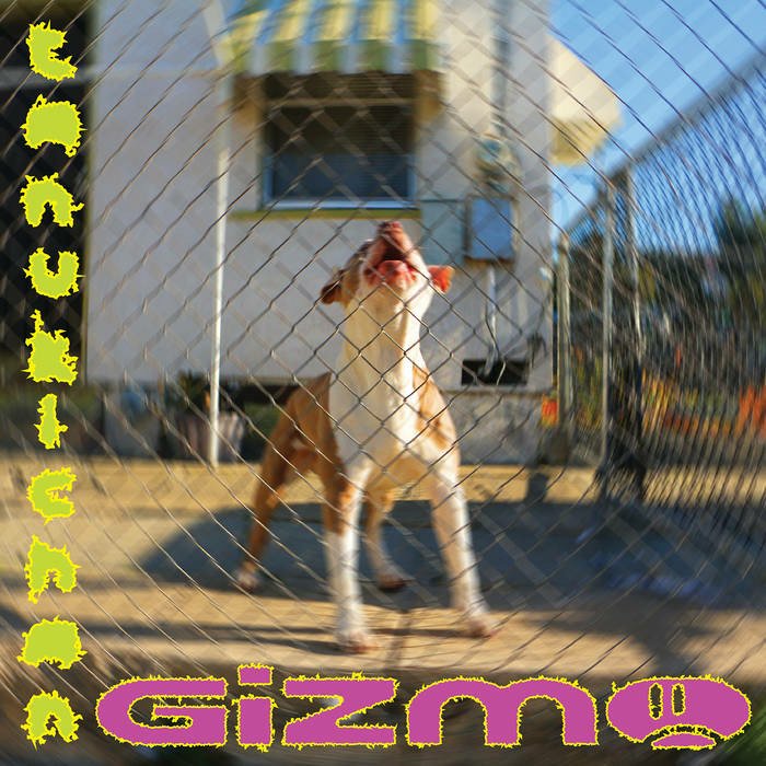 CD Shop - TANUKICHAN GIZMO