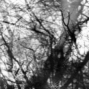 CD Shop - GROUPER WAY THEIR CREPT