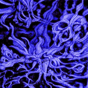 CD Shop - ESOTERICA ASEITY