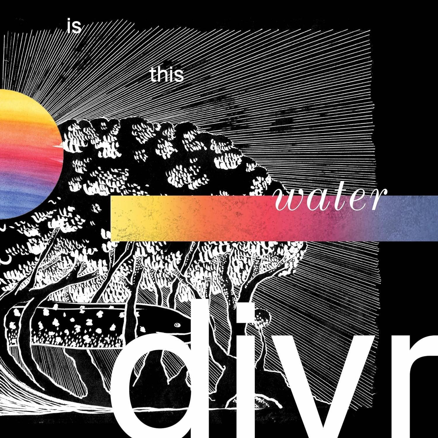 CD Shop - DIVR IS THIS WATER