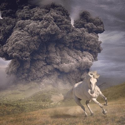 CD Shop - THE WHITE BUFFALO YEAR OF THE DARK HORSE