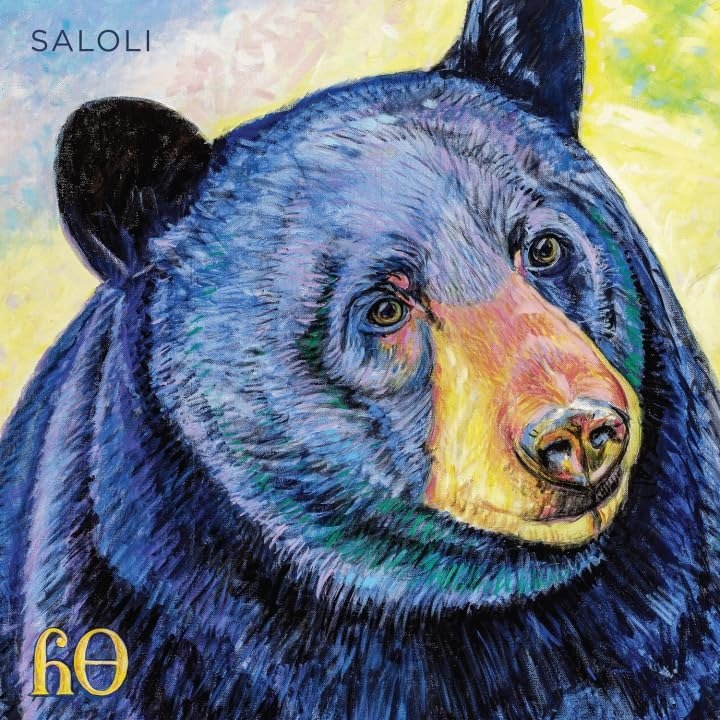 CD Shop - SALOLI CANYON
