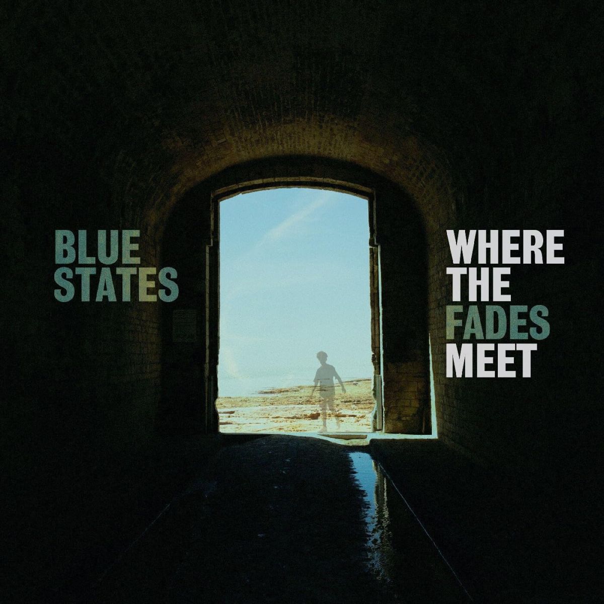 CD Shop - BLUE STATES WHERE THE FADES MEET