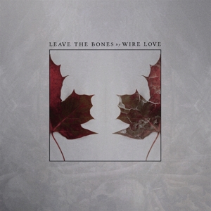 CD Shop - WIRELOVE LEAVE THE BONES