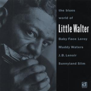 CD Shop - LITTLE WALTER W. BABY FACE LEROY, MUDDY WATERS, J. BLUES WORLD OF LITTLE ...