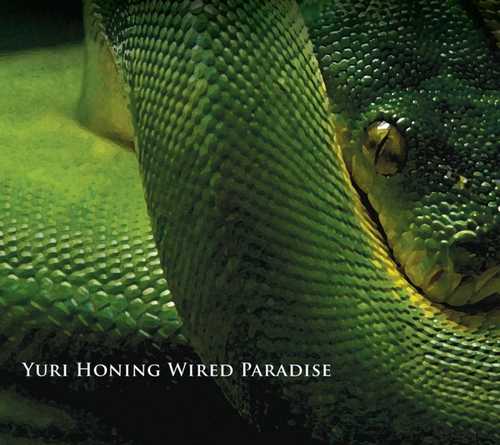 CD Shop - YURI HONING WIRED PARADISE TEMPTATION