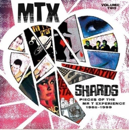 CD Shop - MR. T EXPERIENCE SHARDS, VOL. 2
