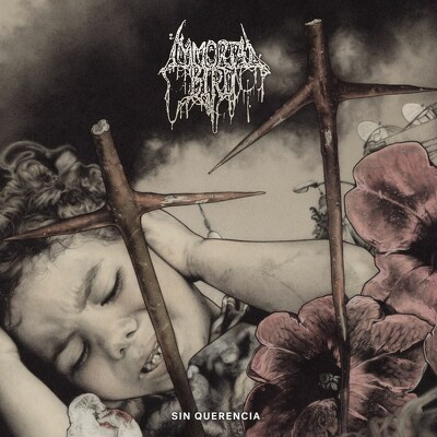 CD Shop - IMMORTAL BIRD SIN QUERENCIA BONE CLOUD