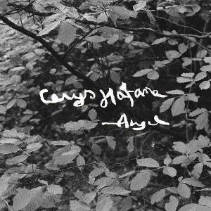 CD Shop - CERYS HAFANA ANGEL