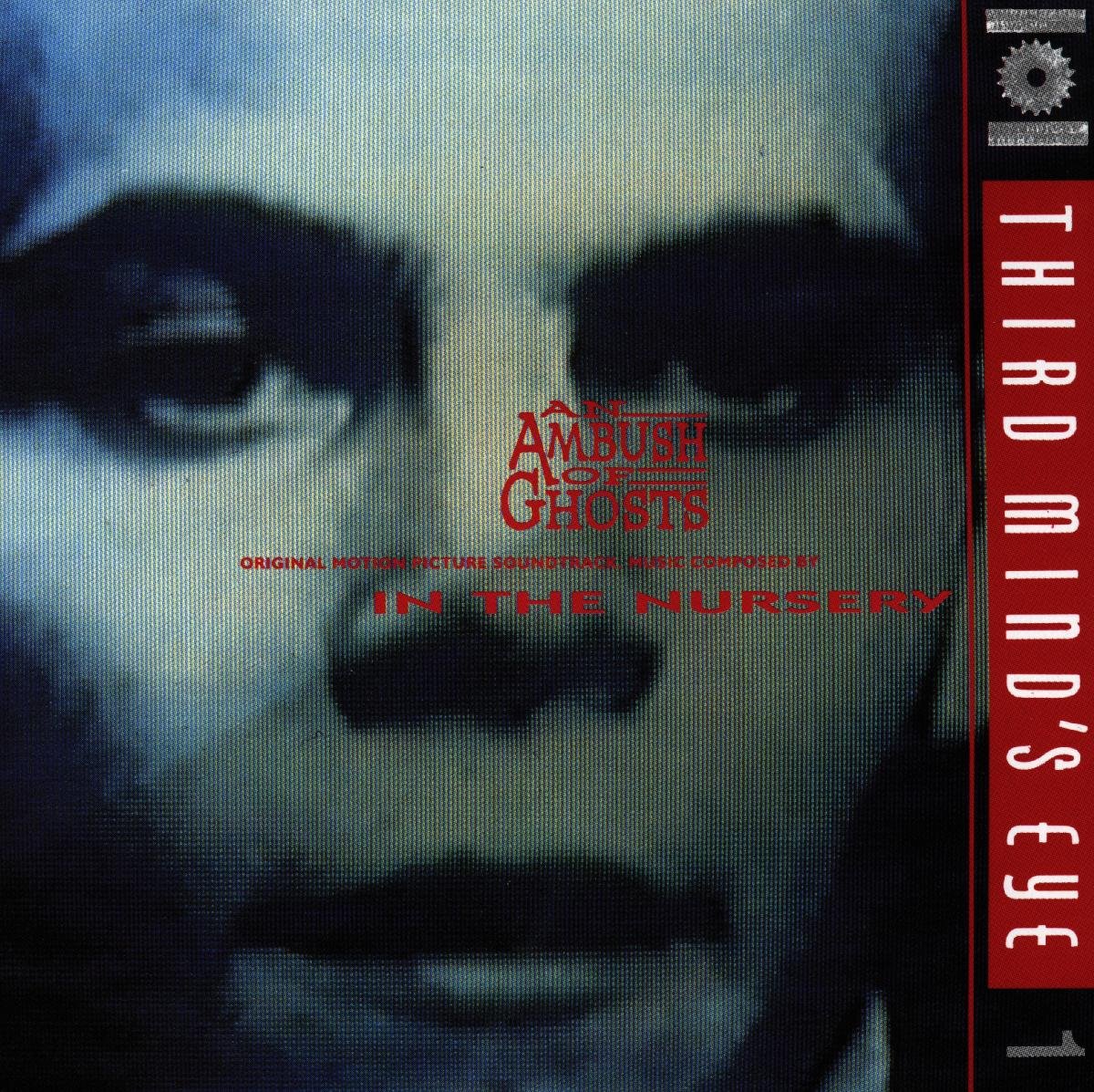 CD Shop - IN THE NURSERY AN AMBUSH OF GHOSTS