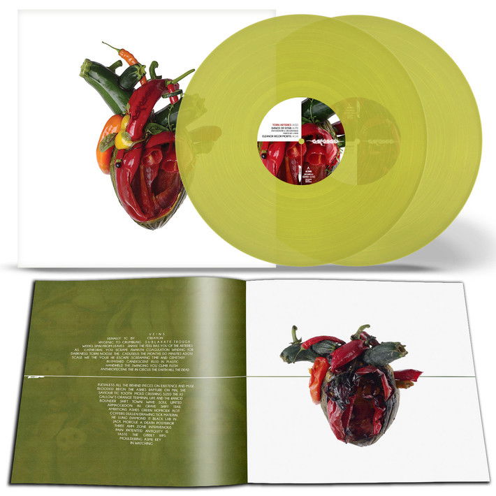 CD Shop - CARCASS TORN ARTERIES