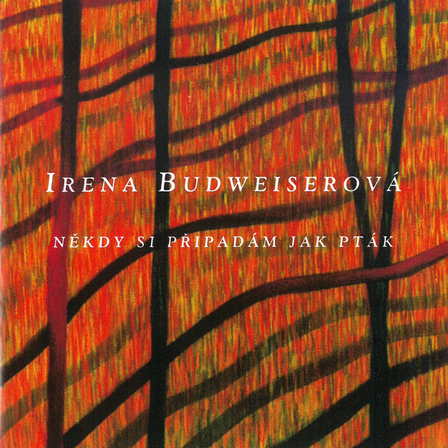 CD Shop - IRENA BUDWEISEROVA NEKDY SI PRIPADAM JAK PTA