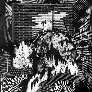 CD Shop - GROSS GHOST PUBLIC HOUSING