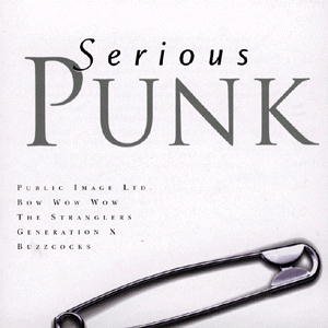 CD Shop - VARIOUS ARTISTS SERIOUS PUNK