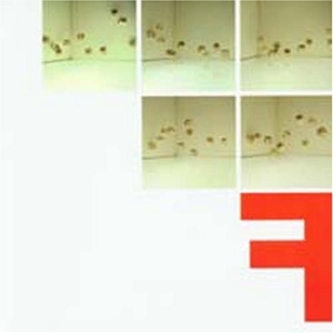 CD Shop - FONTANELLE F