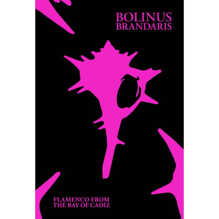 CD Shop - VARIOUS ARTISTS BOLINUS BRANDARIS: FLA...
