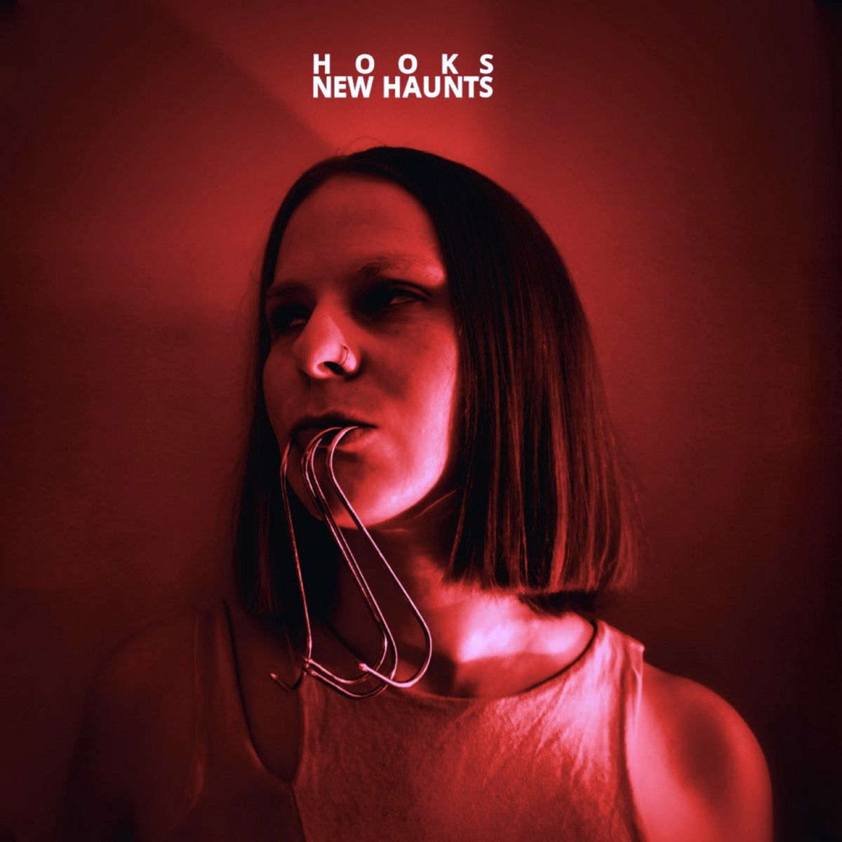 CD Shop - NEW HAUNTS HOOKS