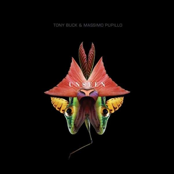 CD Shop - TONY & MASSIMO PUPILLO BUCK UNSEEN