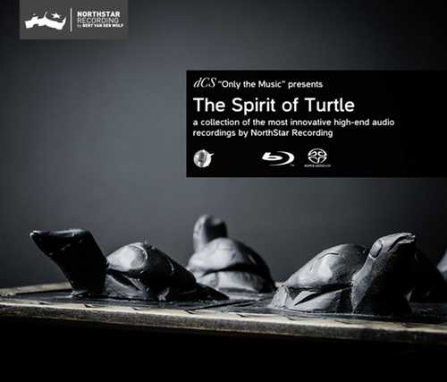 CD Shop - VARIOUS ARTISTS SPIRIT OF TURTLE
