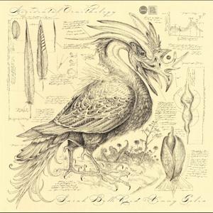 CD Shop - SARAH BELLE REID & VINNY GOLIA ACCIDENTAL ORNITHOLOGY