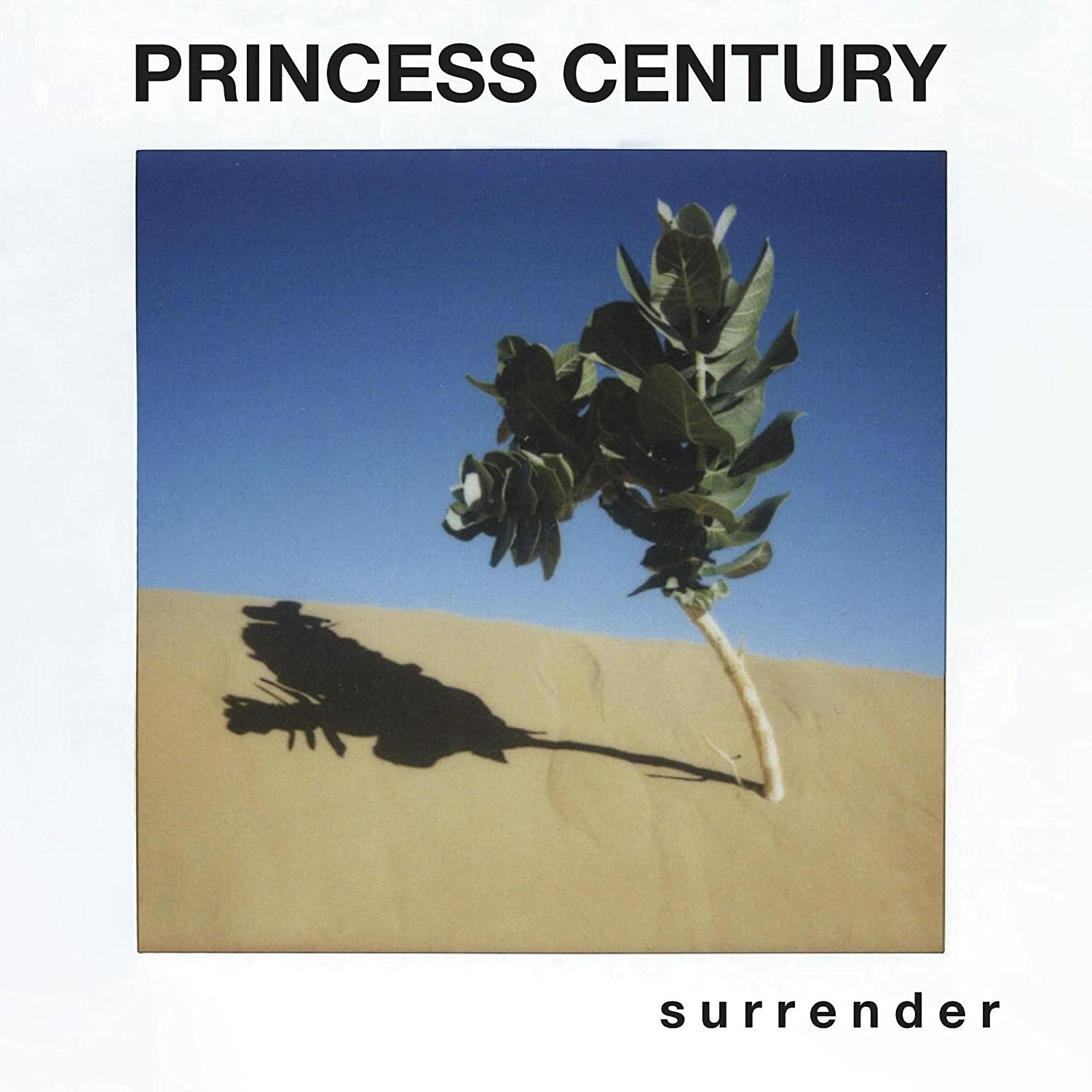 CD Shop - PRINCESS CENTURY SURRENDER