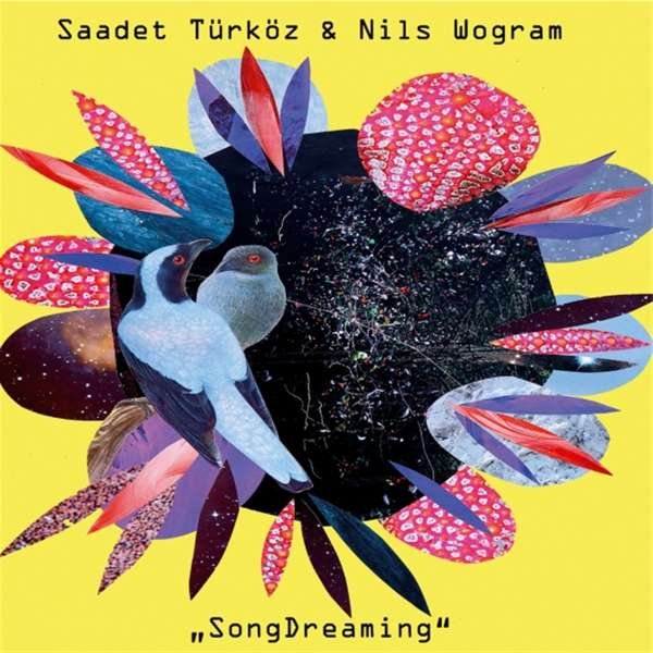 CD Shop - SAADET TURKOZ SONGDREAMING W/ NILS W...