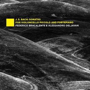 CD Shop - FEDERICO BRACALENTE,ALESSANDRO DELJAVAN J.S. BACH: SONATAS FOR...