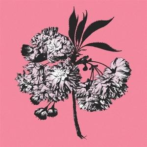 CD Shop - BATTOSAI LAGRIMAS Y MILAGROS