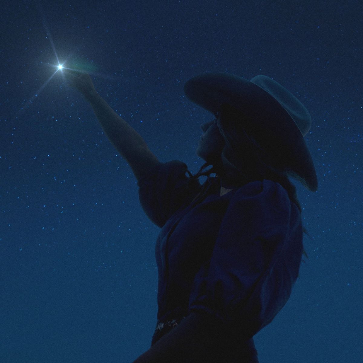 CD Shop - ANNE WILSON STARS