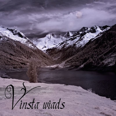CD Shop - VINSTA WIADS