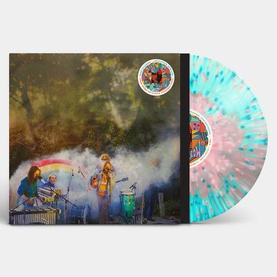 CD Shop - THE BABE RAINBOW LEVITATION SESSIONS