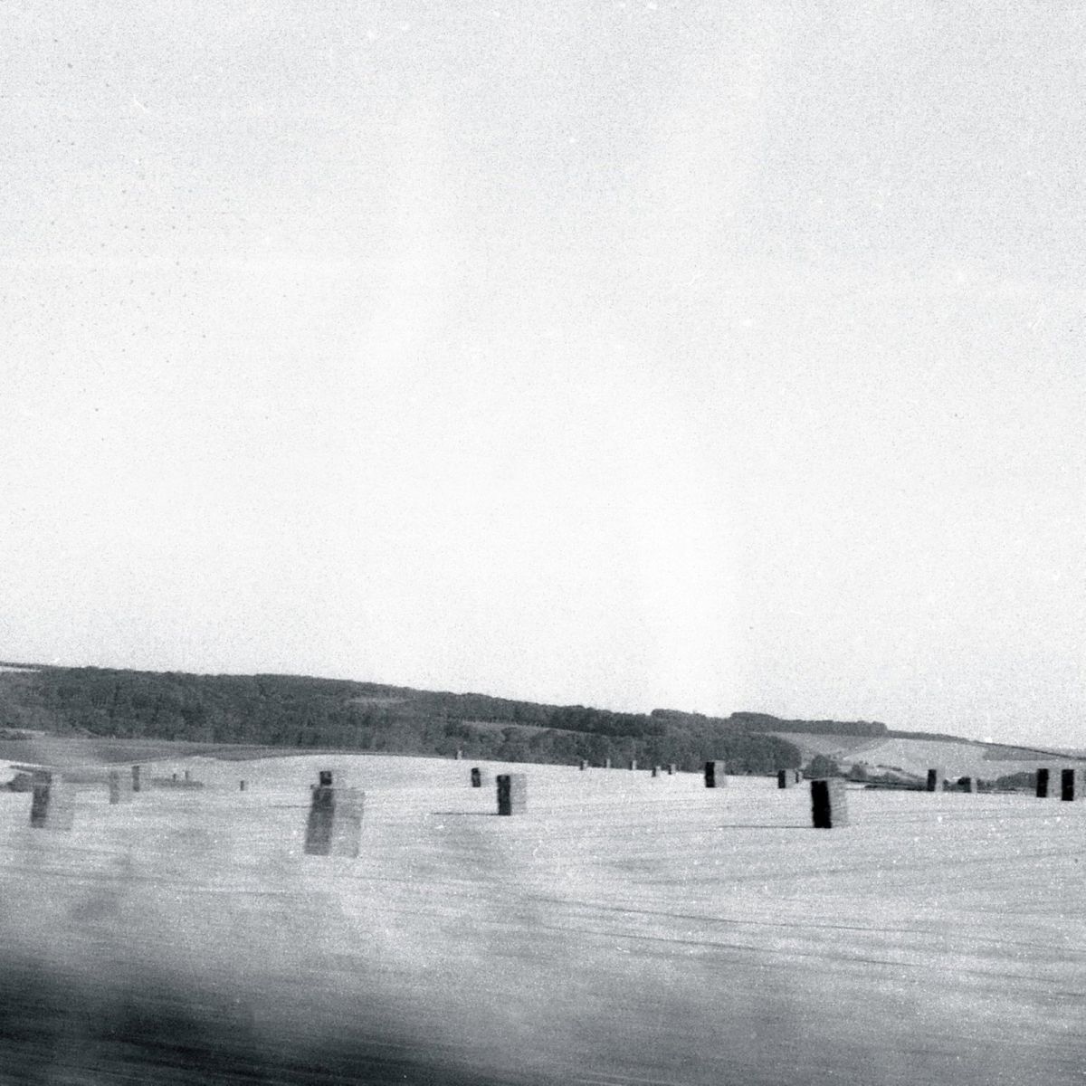 CD Shop - DRONE FERAL
