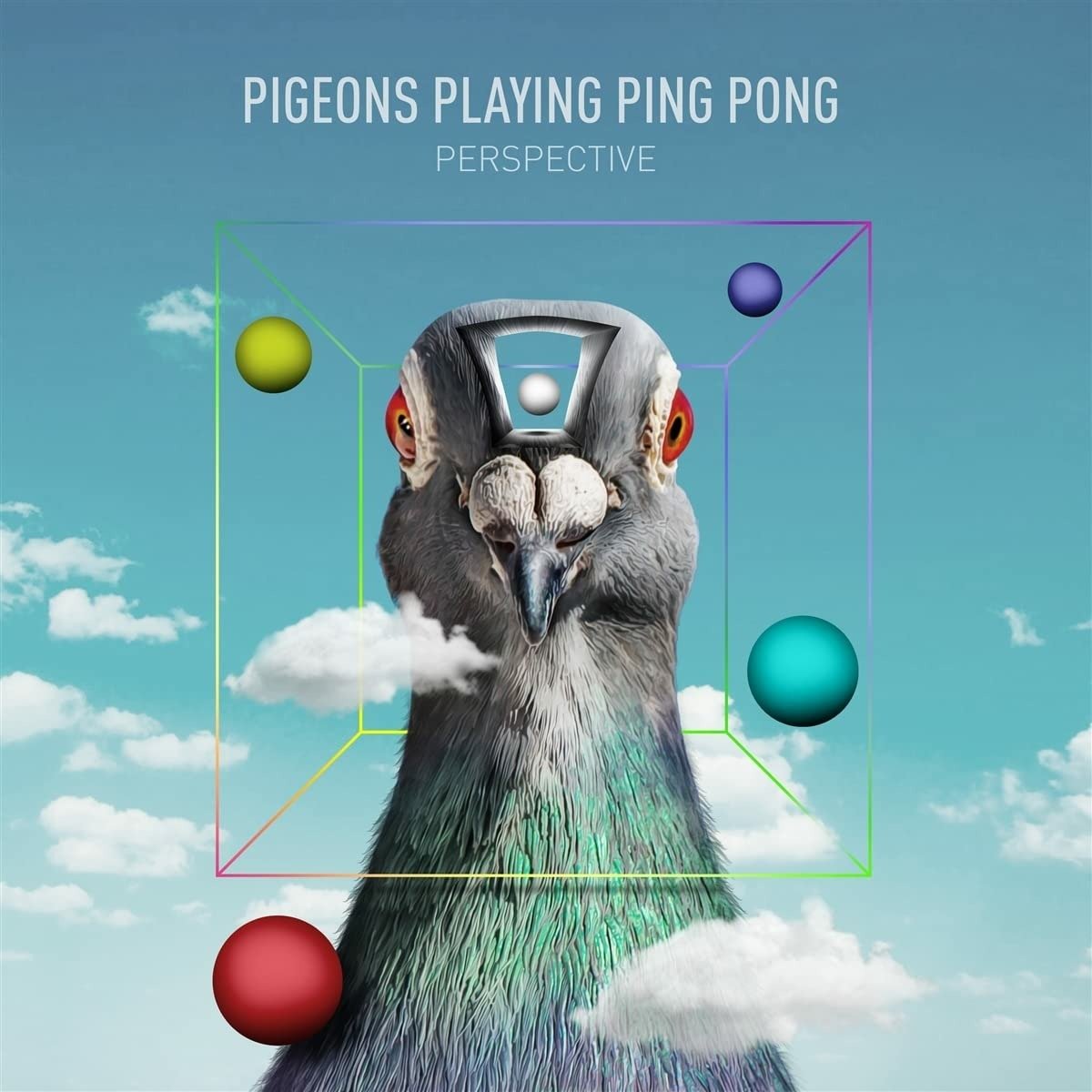 CD Shop - PIGEONS PLAYING PING PONG PERSPECTIVE