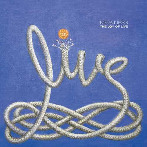 CD Shop - MICK NESS JOY OF LIVE
