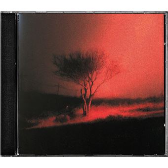 CD Shop - JOJI PISS IN THE WIND