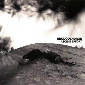 CD Shop - RHODODENDRON ASCENT EFFORT