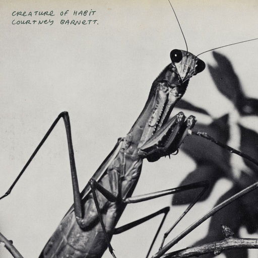 CD Shop - COURTNEY BARNETT CREATURE OF HABIT