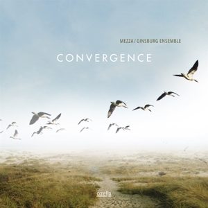 CD Shop - MEZZA & GINSBURG ENSEMBLE CONVERGENCE