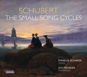 CD Shop - MARKUS SCHAFER SCHUBERT: THE SMALL..