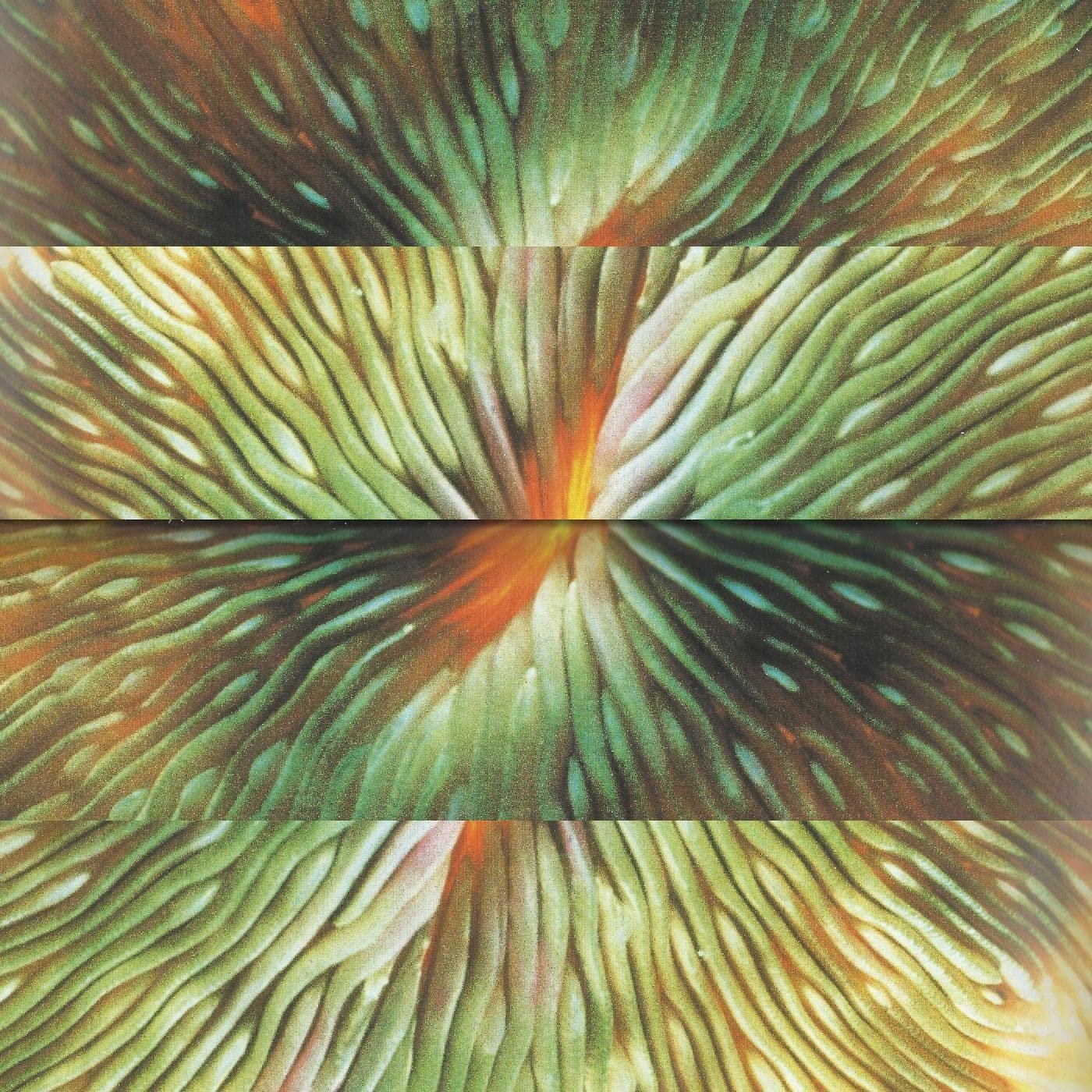 CD Shop - ACTIVE SURPLUS MIRRORING