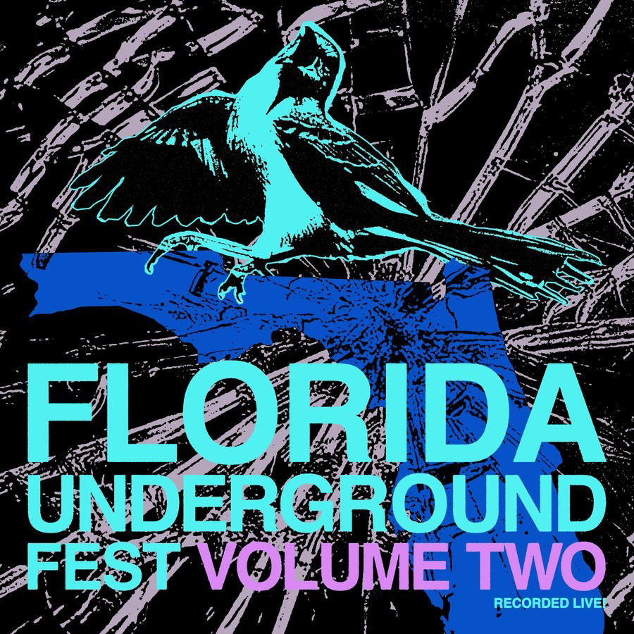 CD Shop - VARIOUS ARTISTS FLORIDA UNDERGROUND FE...