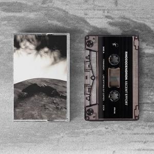 CD Shop - RHODODENDRON ASCENT EFFORT