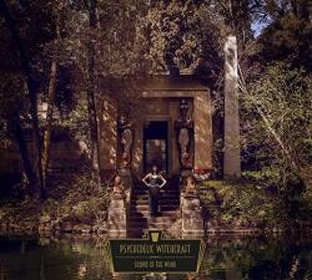 CD Shop - PSYCHEDELIC WITCHCRAFT SOUND OF THE WI