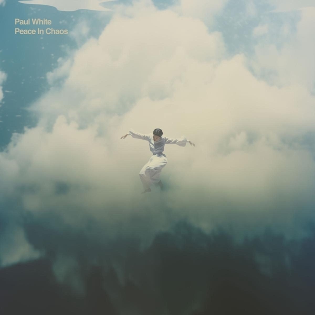 CD Shop - PAUL WHITE PEACE IN CHAOS