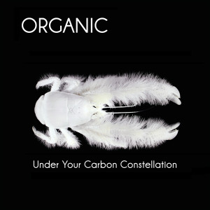 CD Shop - ORGANIC UNDER YOUR CARBON CONS...