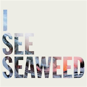 CD Shop - DRONES I SEE SEAWEED