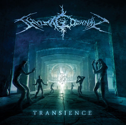 CD Shop - SHYLMAGOGHNAR TRANSCIENCE